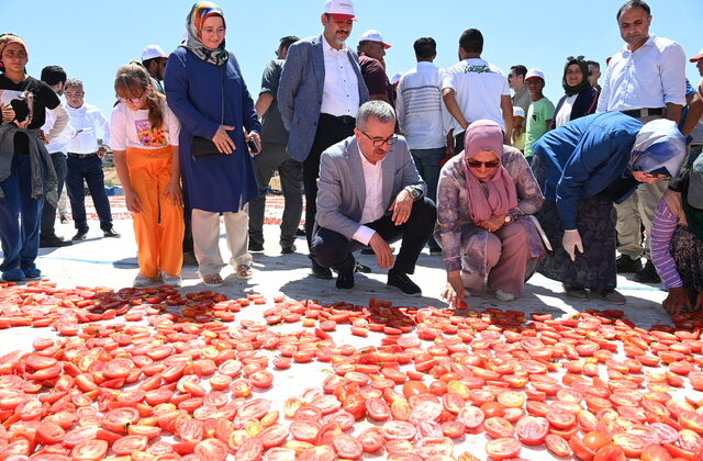 Başkan Güngör; “Tarım Ürünlerimizin İhracattaki Payı Artıyor”