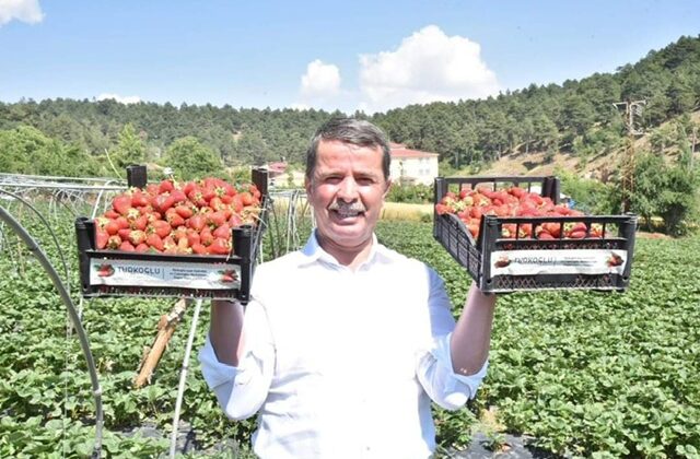 Başkan Okumuş;”Bizim buralara yağmur yağdığı zaman, “BEREKET” yağdı denir.