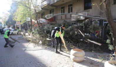 DULKADİROĞLU BELEDİYESİ FIRTINANIN YARALARINI SARIYOR